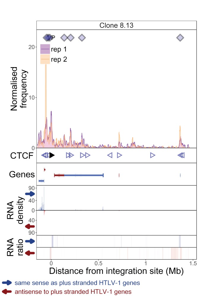 Figure 1—figure supplement 5.