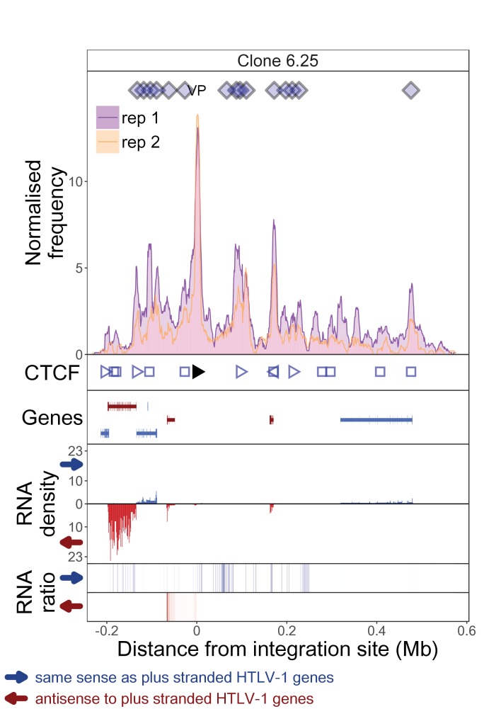 Figure 1—figure supplement 1.