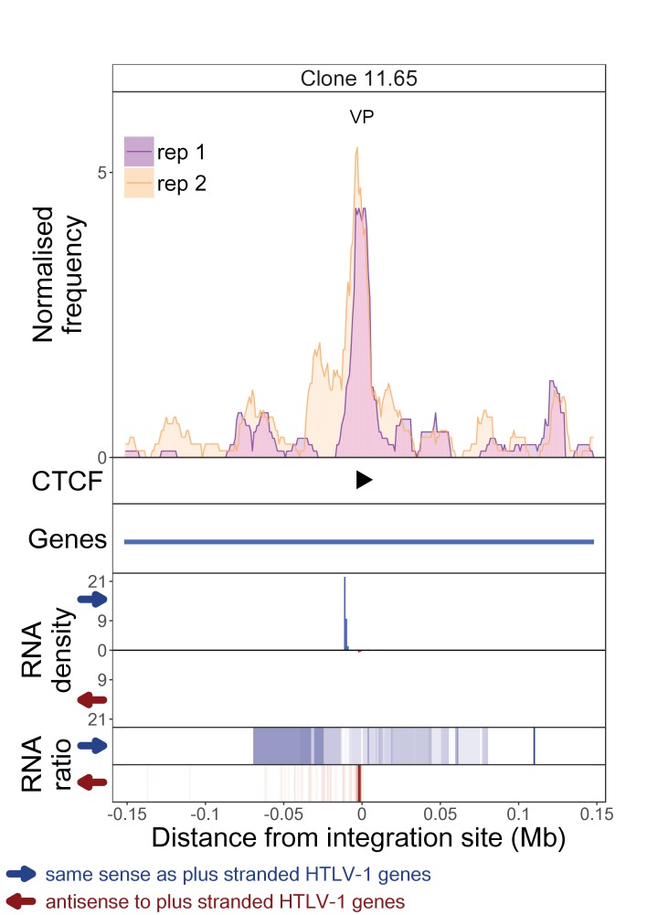 Figure 1—figure supplement 9.