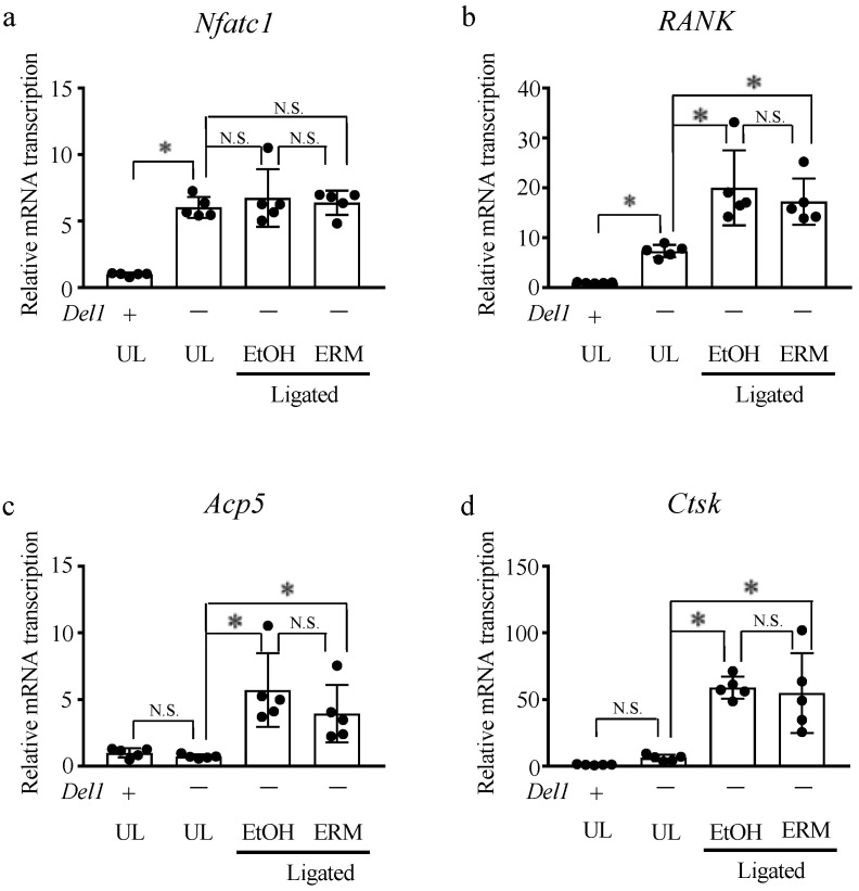 Figure 5