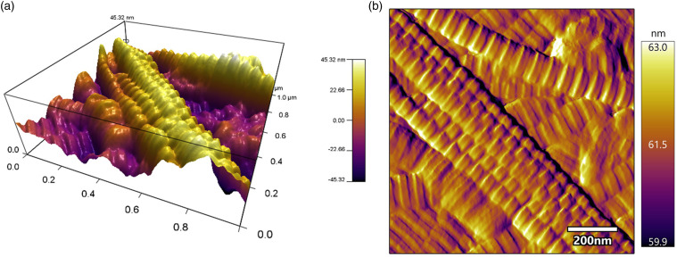 Figure 2.