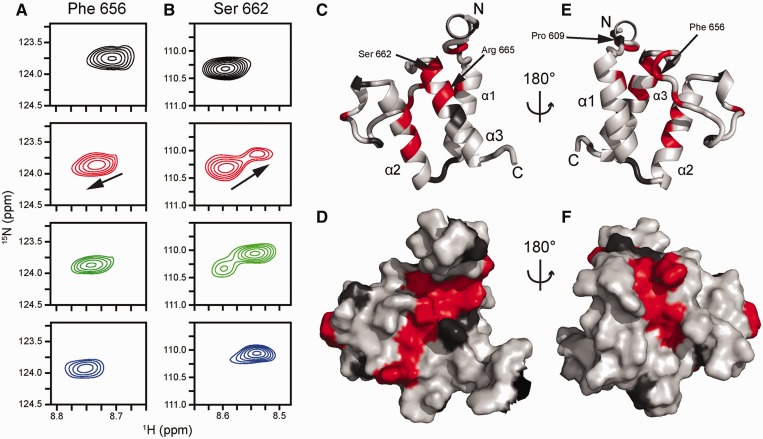 Figure 6.