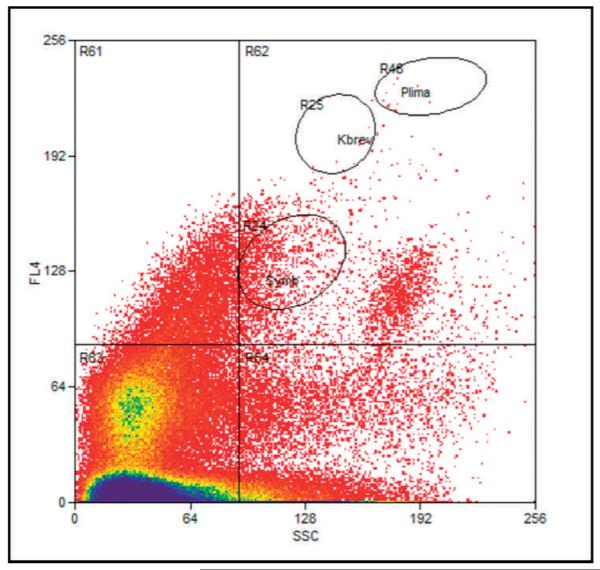 Fig. 3