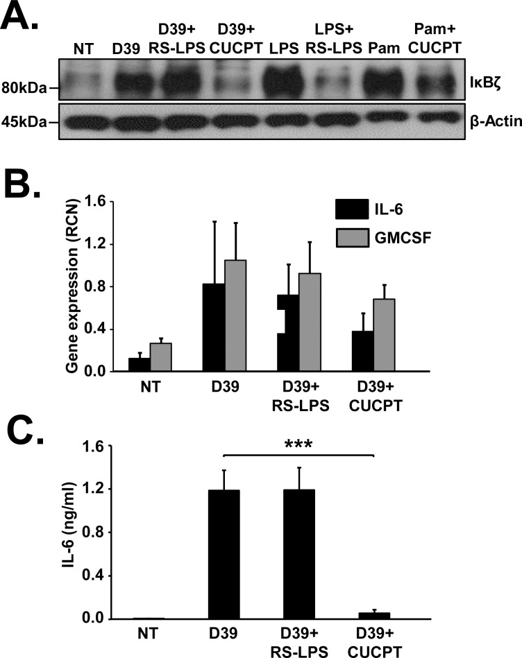 Fig 5