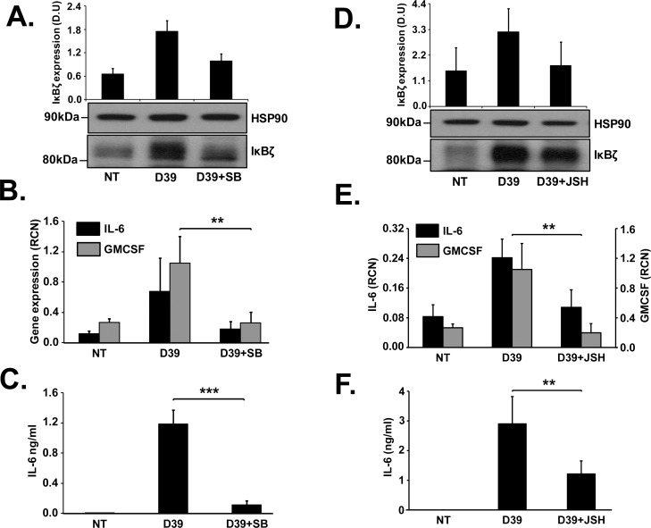 Fig 6