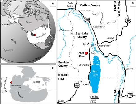 Fig. 2