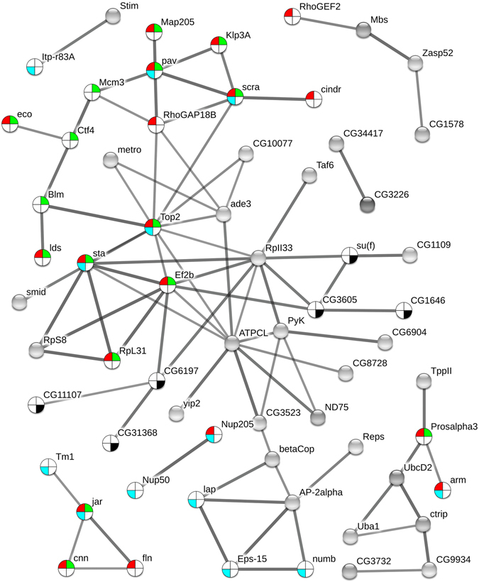 Figure 7