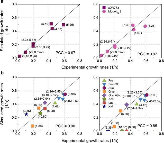 A new genome-scale metabolic model of Corynebacterium glutamicum and ...