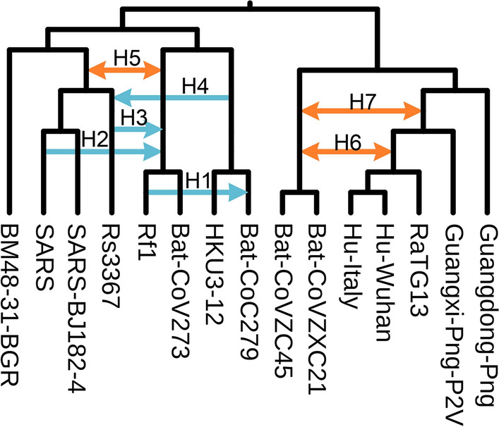 Fig. 13