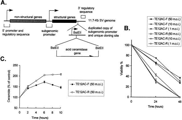 FIG. 7