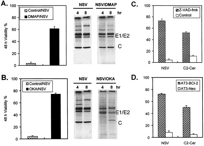 FIG. 6