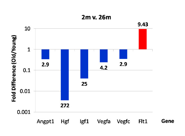 Figure 13