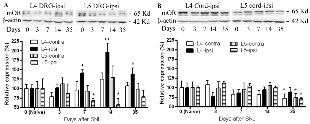 Fig. 5