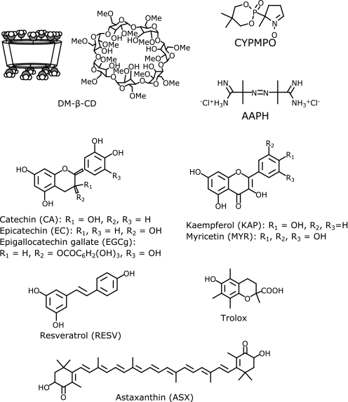 Fig. 1