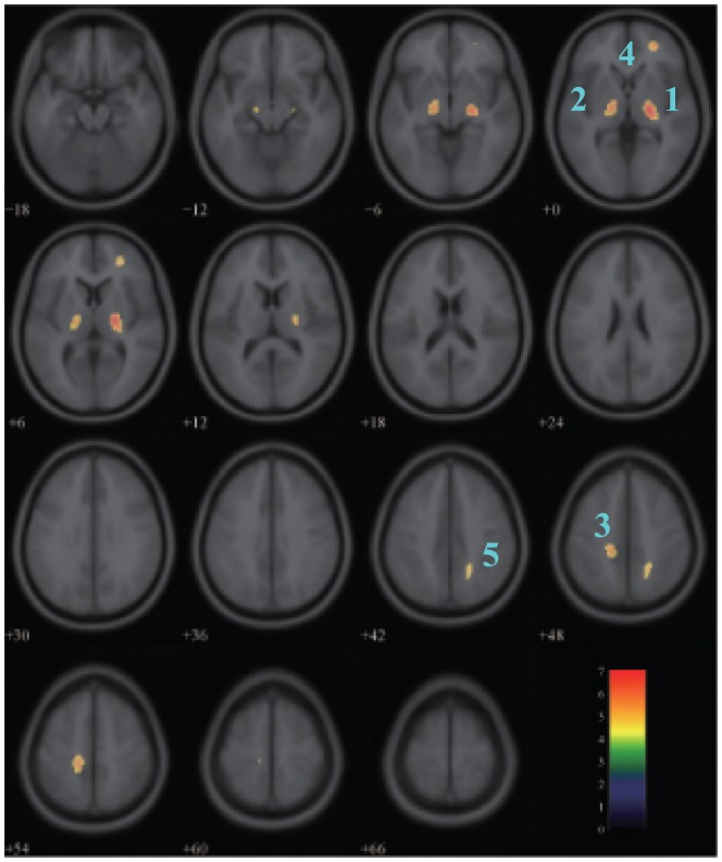 Figure 5