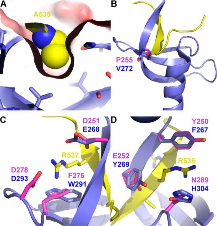 FIGURE 4.