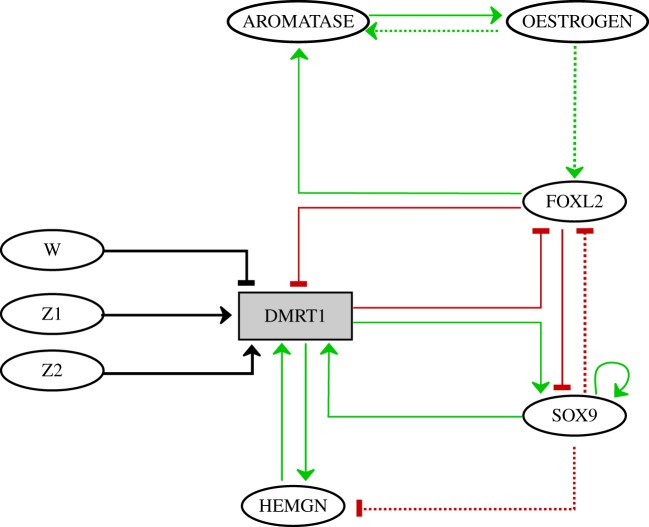 Figure 1.