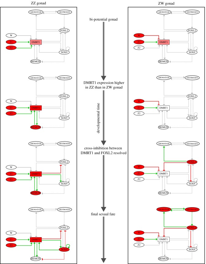 Figure 2.