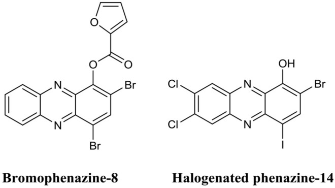 Figure 11