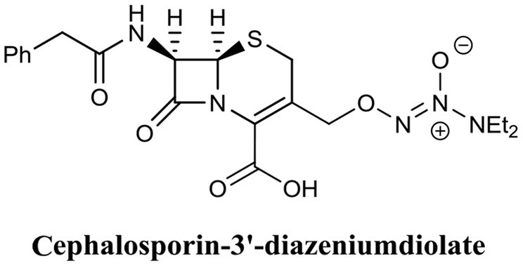 Figure 13