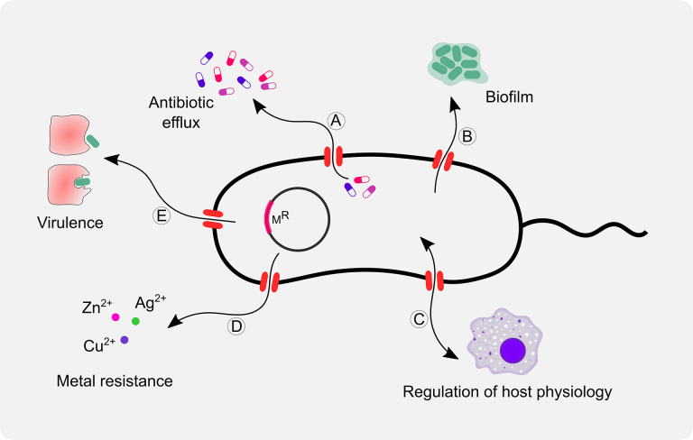 Fig. 2.