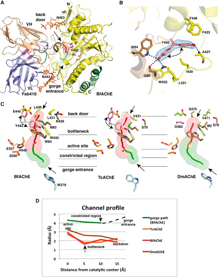 FIGURE 4.