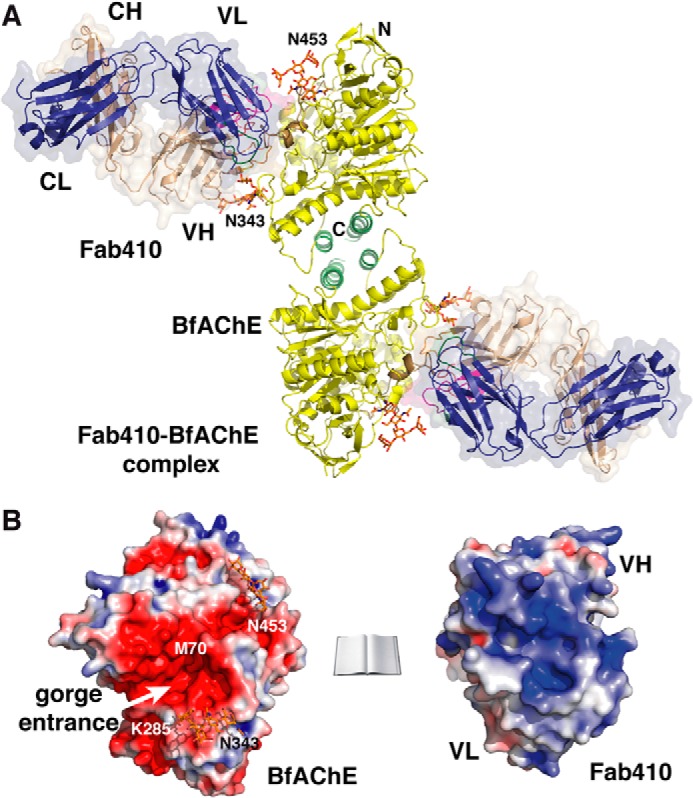 FIGURE 3.