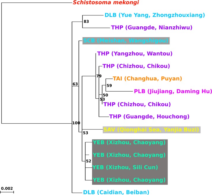 Fig 4