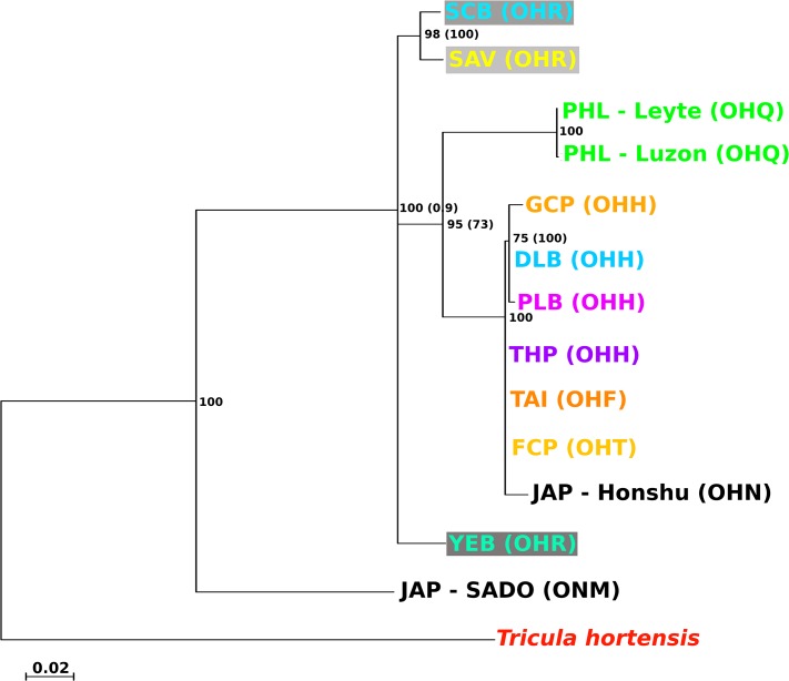 Fig 3