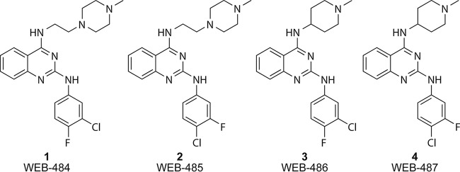 FIG 1