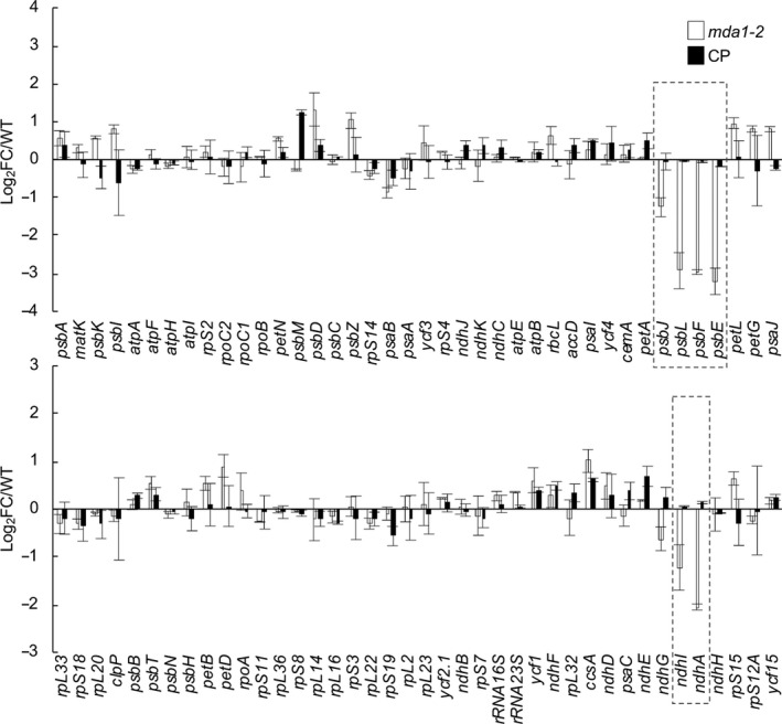 Fig. 3