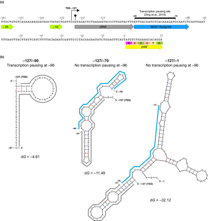 Fig. 11