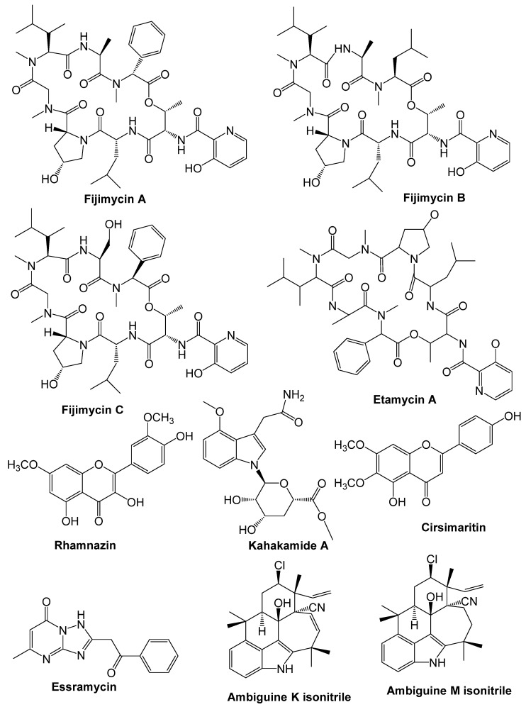 Figure 5