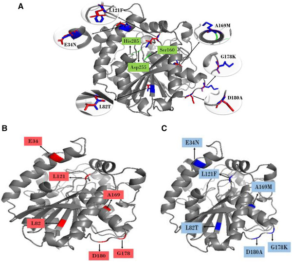 FIGURE 2