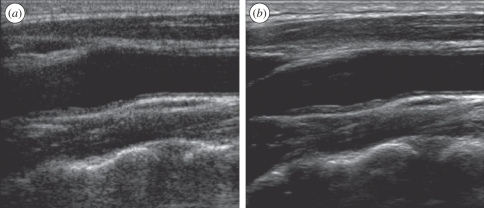 Figure 1.