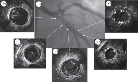 Figure 2.