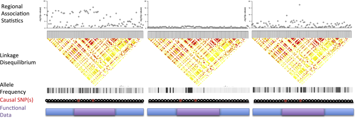 Figure 1