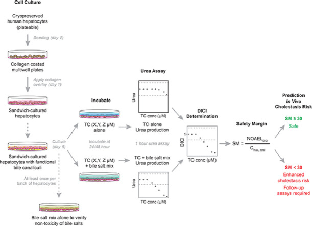 Image, graphical abstract