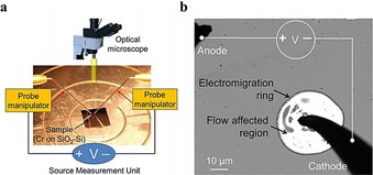 Figure 10