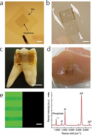 Figure 21