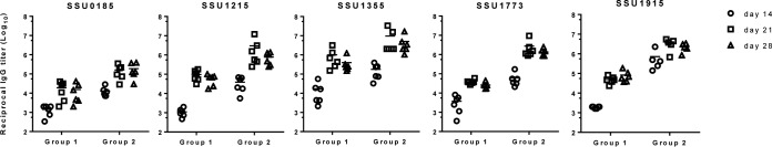 FIG 2