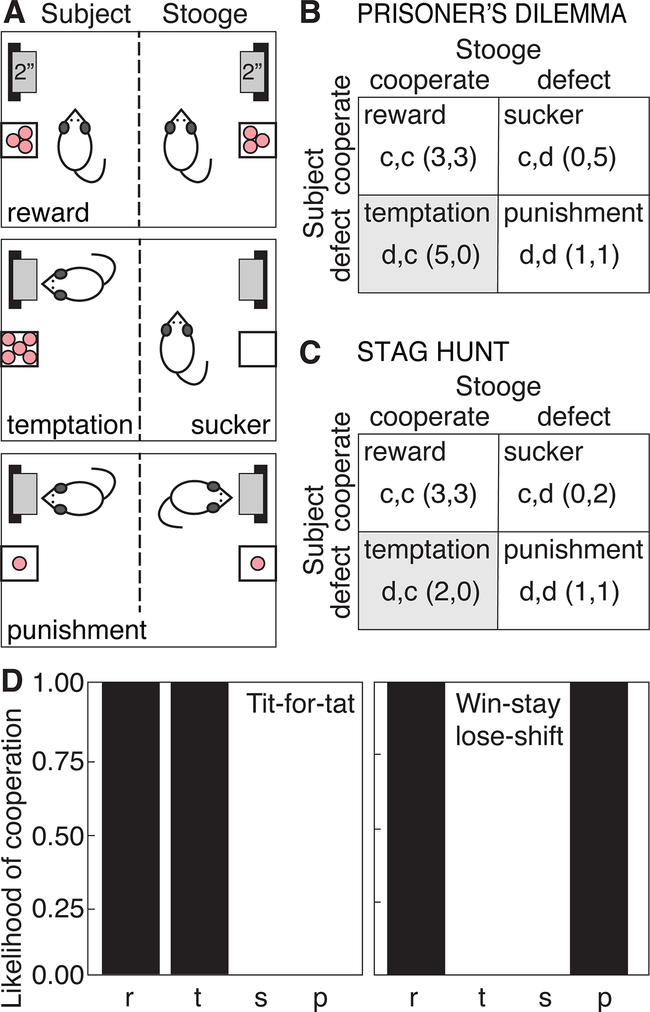 Figure 1: