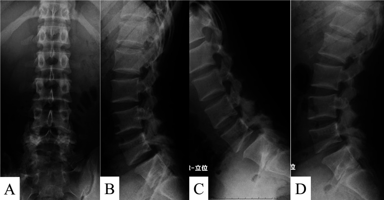 Figure 7