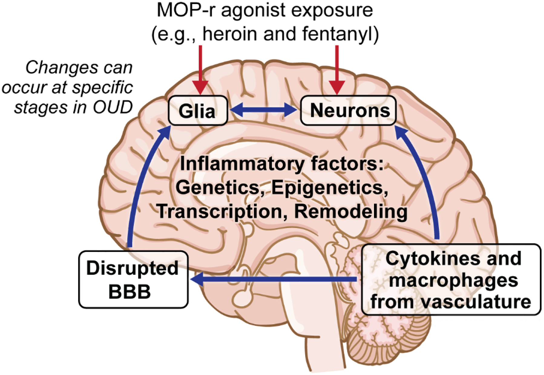 Figure 1: