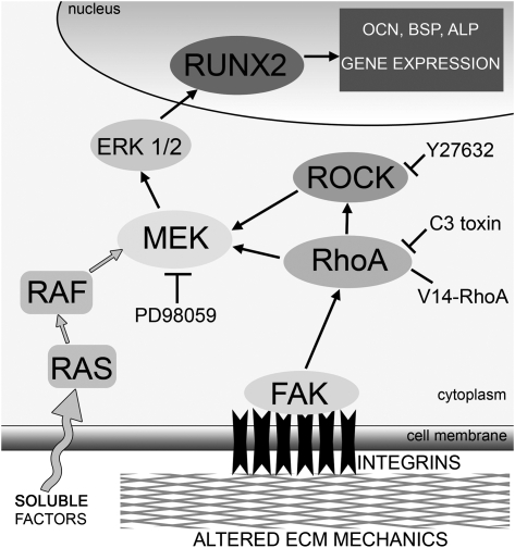 FIG. 7