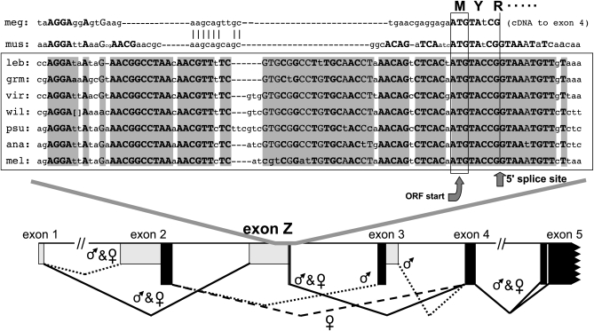 Figure 6.—