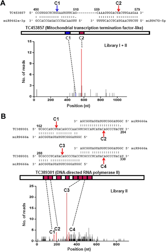 Fig 5