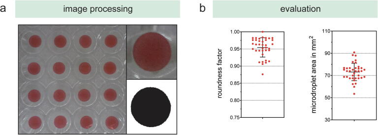 Fig. 10