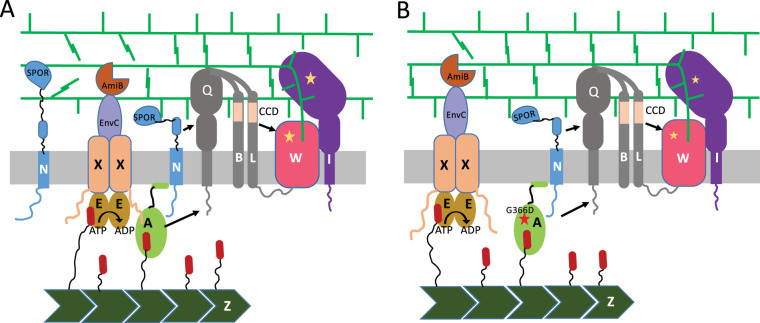 FIG 1