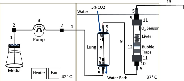 FIG. 1.